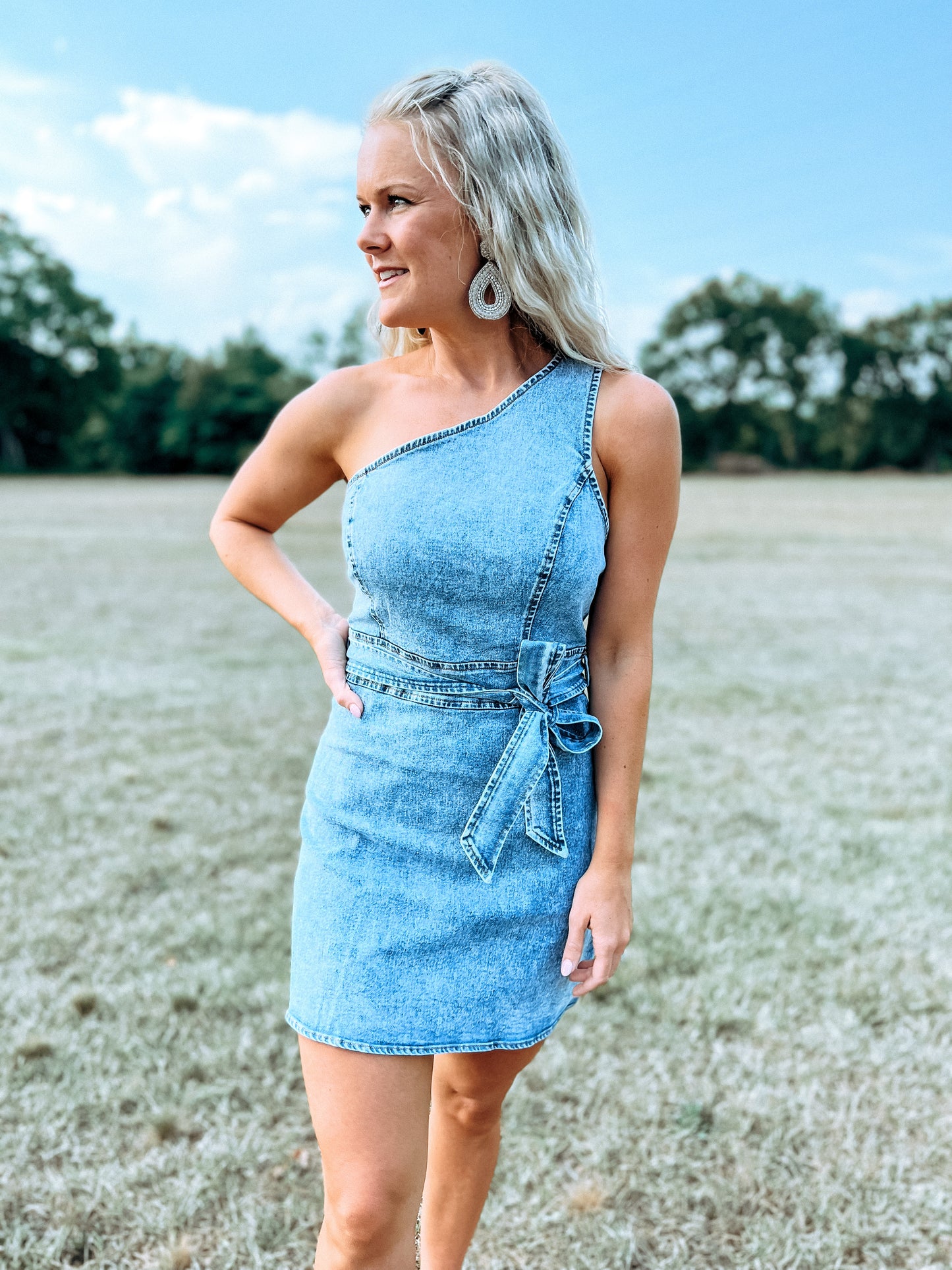 The Perfect Dress in Denim